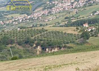 Foto 3 - Terreno agricolo Ancarano - foto 3