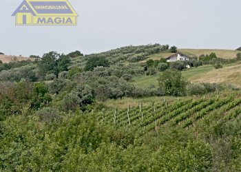 Foto 4 - Terreno agricolo Ancarano - foto 4