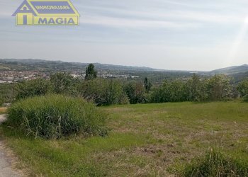 Foto 5 - Terreno agricolo Ancarano - foto 5