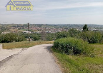 Foto 7 - Terreno agricolo Ancarano - foto 7