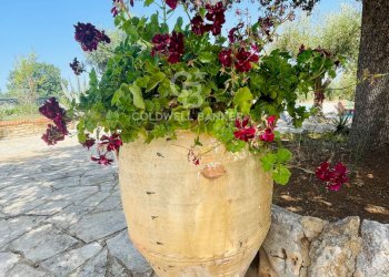 Foto 10 - Baita Contrada Iacochionna, San Michele Salentino - foto 10