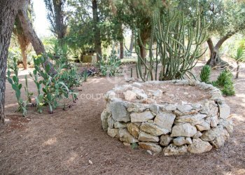 Foto 14 - Baita Contrada Iacochionna, San Michele Salentino - foto 14