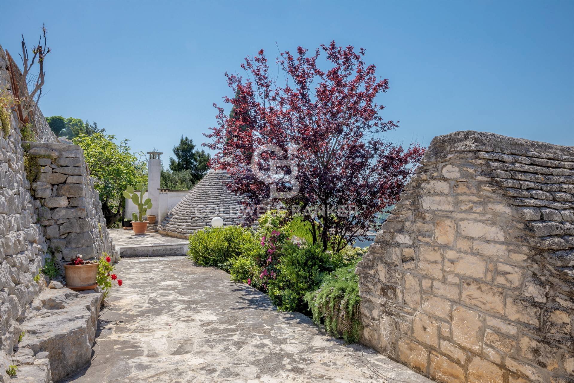 Foto 2 - Baita via gordini
 
64, Fasano - foto 2