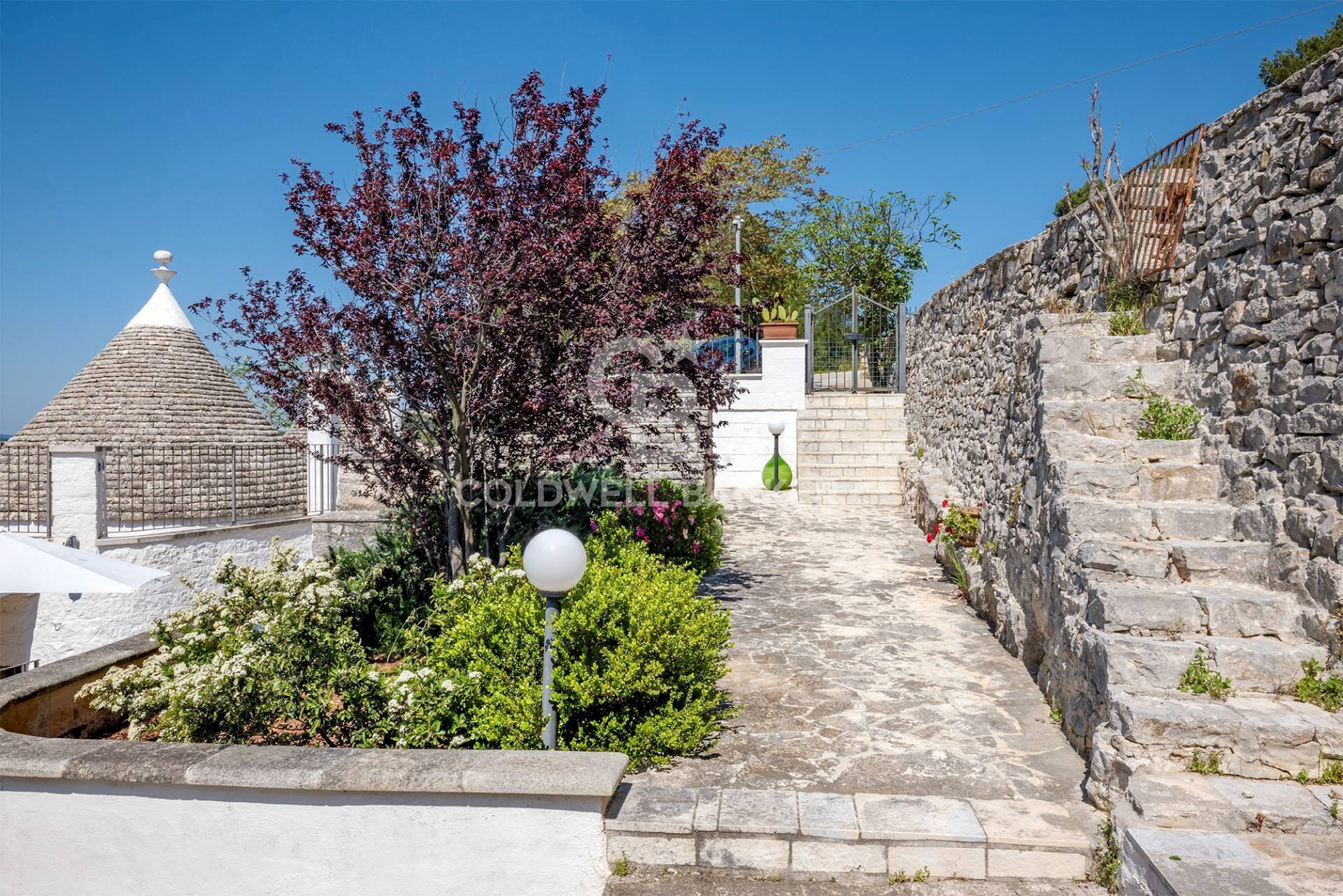 Foto 3 - Baita via gordini
 
64, Fasano - foto 3