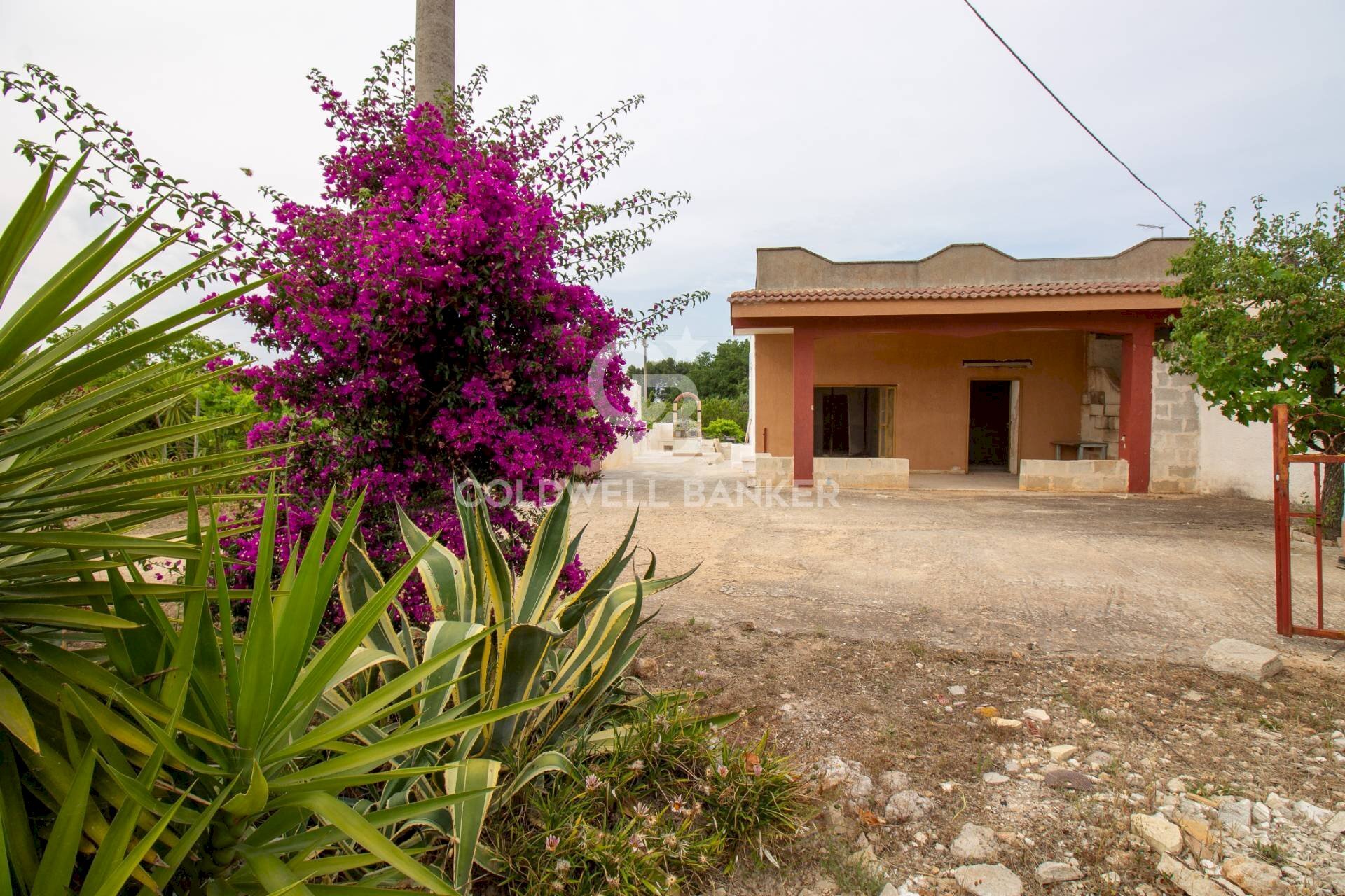 Foto 2 - Villa Carovigno - foto 2