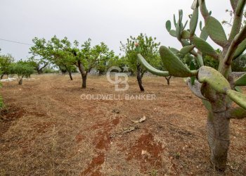 Foto 10 - Villa CONTRADA PARCO GRANDE
 
SN, Carovigno - foto 10