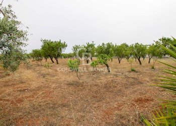 Foto 24 - Villa CONTRADA PARCO GRANDE
 
SN, Carovigno - foto 24