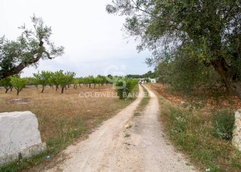 Foto 28 - Villa CONTRADA PARCO GRANDE
 
SN, Carovigno - foto 28