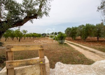 Foto 29 - Villa CONTRADA PARCO GRANDE
 
SN, Carovigno - foto 29