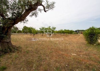 Foto 30 - Villa CONTRADA PARCO GRANDE
 
SN, Carovigno - foto 30