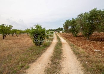 Foto 31 - Villa CONTRADA PARCO GRANDE
 
SN, Carovigno - foto 31