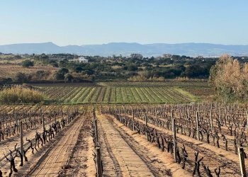 Foto 12 - Trilocale Via Mare, Badesi - foto 12