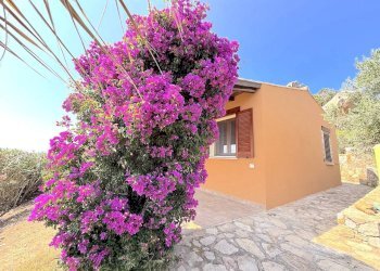 Foto 4 - Villa Trinità d'Agultu e Vignola - foto 4