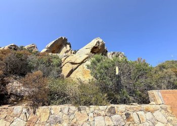 Foto 19 - Villa Trinità d'Agultu e Vignola - foto 19