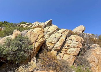 Foto 24 - Villa Trinità d'Agultu e Vignola - foto 24