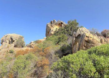 Foto 73 - Villa Trinità d'Agultu e Vignola - foto 73