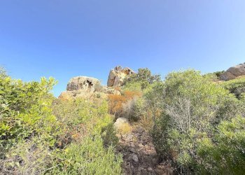 Foto 74 - Villa Trinità d'Agultu e Vignola - foto 74