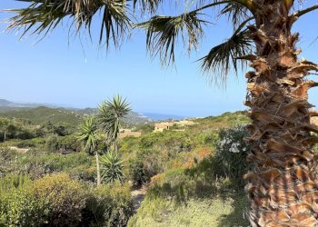 Foto 76 - Villa Trinità d'Agultu e Vignola - foto 76