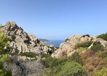 Foto 77 - Villa Trinità d'Agultu e Vignola - foto 77