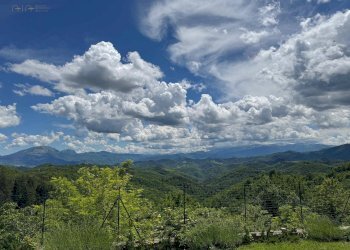 Foto 23 - Independent house Fraz. Casale, Comunanza - photo 23