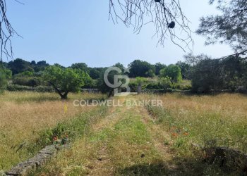 Foto 7 - Villa Contrada Boara
 
Sn, Mottola - foto 7