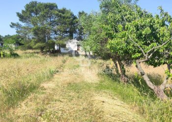 Foto 23 - Villa Contrada Boara
 
Sn, Mottola - foto 23