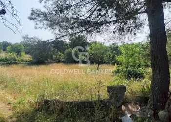 Foto 25 - Villa Contrada Boara
 
Sn, Mottola - foto 25