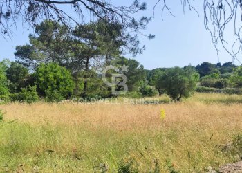 Foto 26 - Villa Contrada Boara
 
Sn, Mottola - foto 26