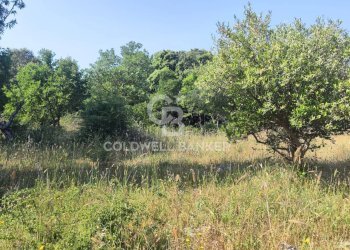 Foto 27 - Villa Contrada Boara
 
Sn, Mottola - foto 27