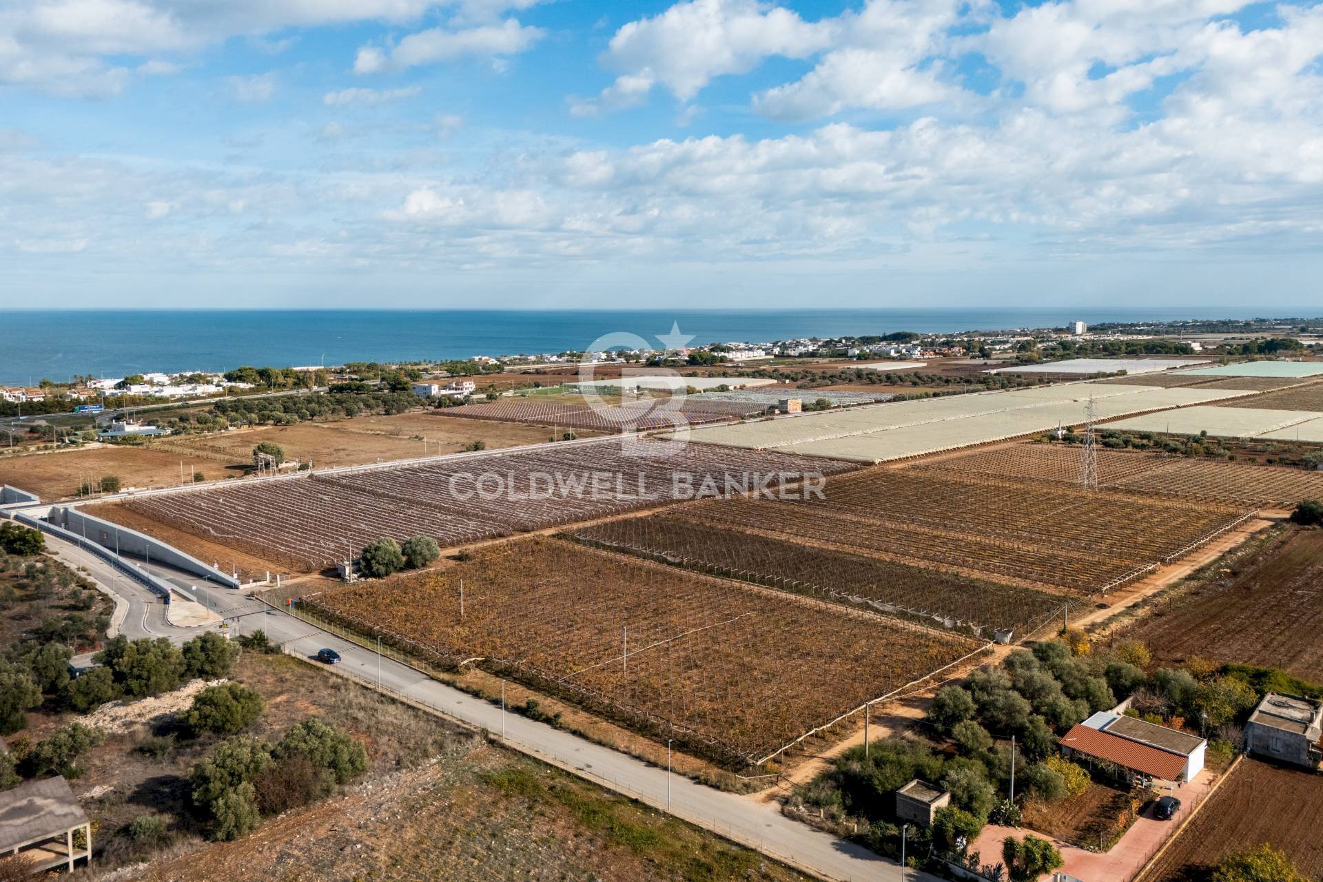 Foto 1 - Terreno edificabile Contrada Coppe di Bari
 
Snc, Bari - foto 1