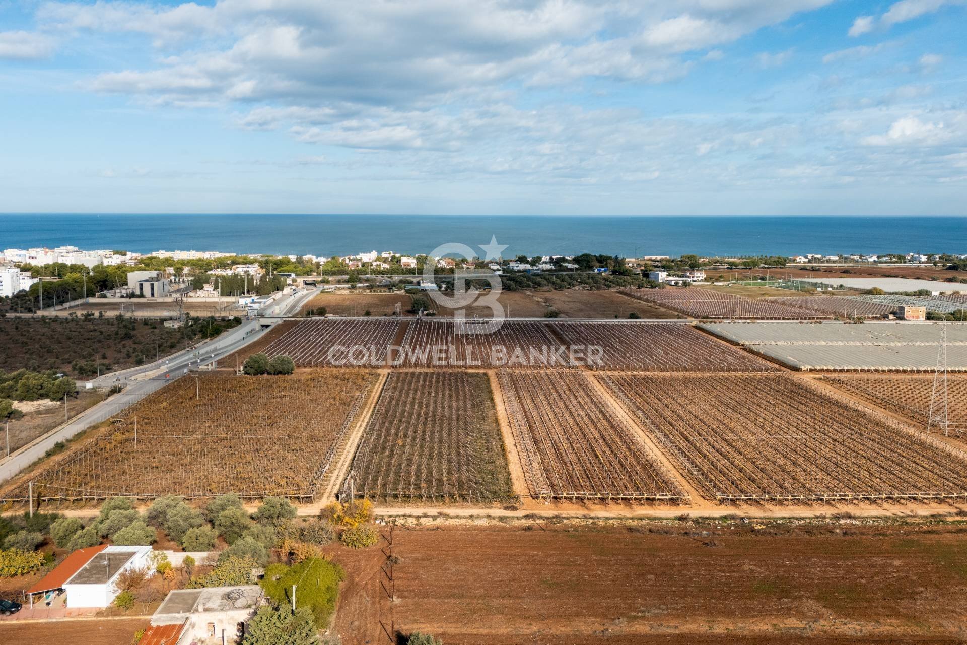 Foto 2 - Terreno edificabile Contrada Coppe di Bari
 
Snc, Bari - foto 2