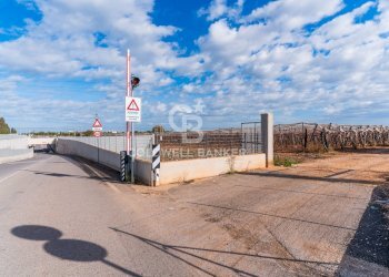 Foto 5 - Terreno edificabile Contrada Coppe di Bari
 
Snc, Bari - foto 4
