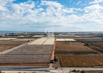 Foto 6 - Terreno edificabile Contrada Coppe di Bari
 
Snc, Bari - foto 5