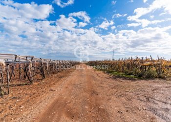Foto 7 - Terreno edificabile Contrada Coppe di Bari
 
Snc, Bari - foto 6