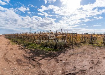 Foto 8 - Terreno edificabile Contrada Coppe di Bari
 
Snc, Bari - foto 7