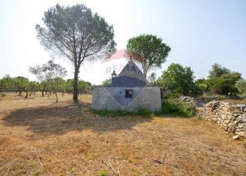 Giardino - Terreno agricolo Contrada Vecchio snc, Noci - foto 9