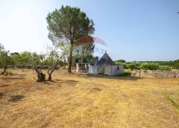 Giardino - Terreno agricolo Contrada Vecchio snc, Noci - foto 11