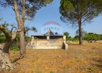 Casa all\'aperto - Terreno agricolo Contrada Vecchio snc, Noci - foto 16