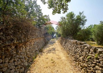 Giardino - Terreno agricolo Contrada Vecchio snc, Noci - foto 18