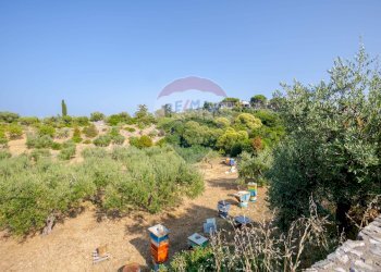 Giardino - Villa Strada Provinciale 57
 
73, Noicàttaro - foto 8