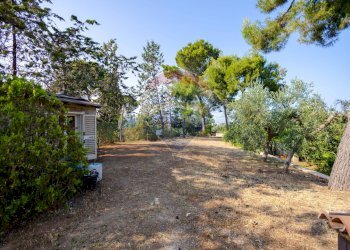 Giardino - Villa Strada Provinciale 57
 
73, Noicàttaro - foto 9