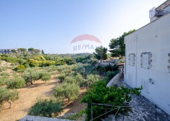 Giardino - Villa Strada Provinciale 57
 
73, Noicàttaro - foto 10