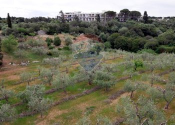 Non correlato - Villa Strada Provinciale 57
 
73, Noicàttaro - foto 25