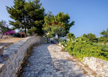 Giardino - Villa Strada Provinciale 57
 
73, Noicàttaro - foto 52