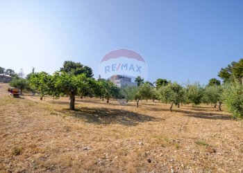 Giardino - Villa Strada Provinciale 57
 
73, Noicàttaro - foto 53