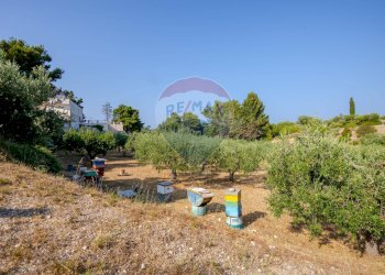 Giardino - Villa Strada Provinciale 57
 
73, Noicàttaro - foto 54