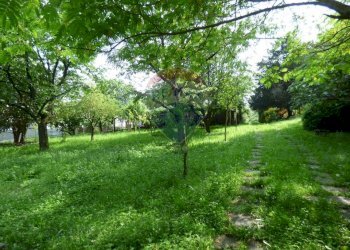 Giardino - Casa indipendente via Noga
 
126, Cassano Valcuvia - foto 32