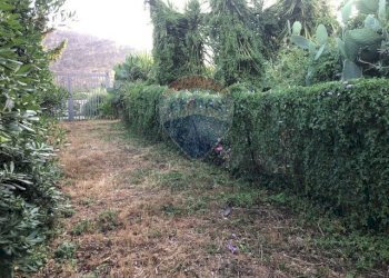 Giardino - Terreno edificabile Via Tommaso Natale
147, Palermo - foto 9