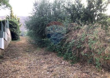 Giardino - Terreno edificabile Via Tommaso Natale
147, Palermo - foto 10