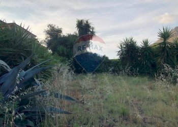 Giardino - Terreno edificabile Via Tommaso Natale
147, Palermo - foto 12